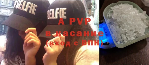 индика Нефтекумск
