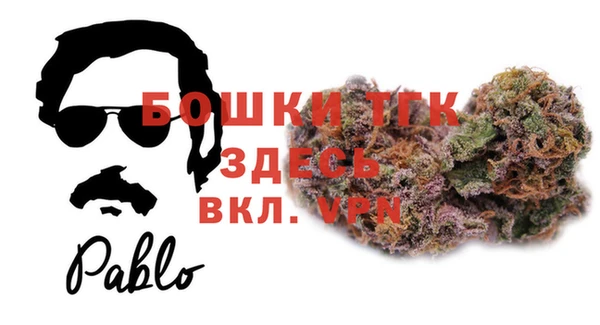 индика Нефтекумск
