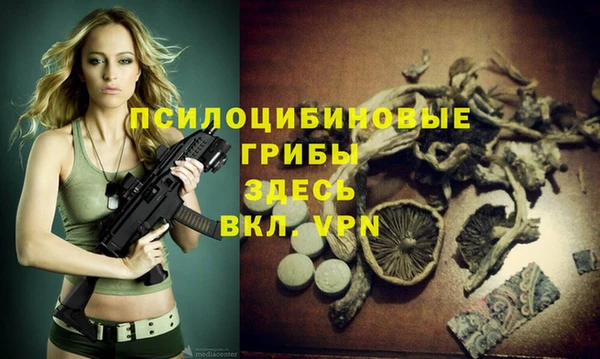 ешки Нефтегорск