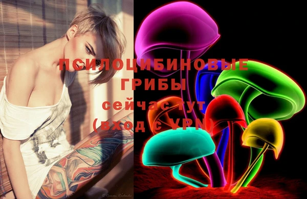 МДПВ Нея
