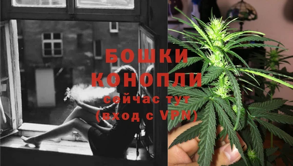 прущая мука Аша