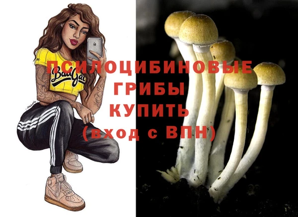 индика Нефтекумск