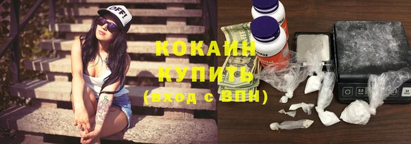 МДПВ Нея