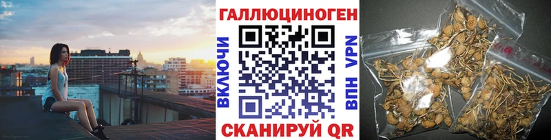 где можно купить   мориарти Telegram  mega зеркало  Псилоцибиновые грибы ЛСД  Благовещенск 